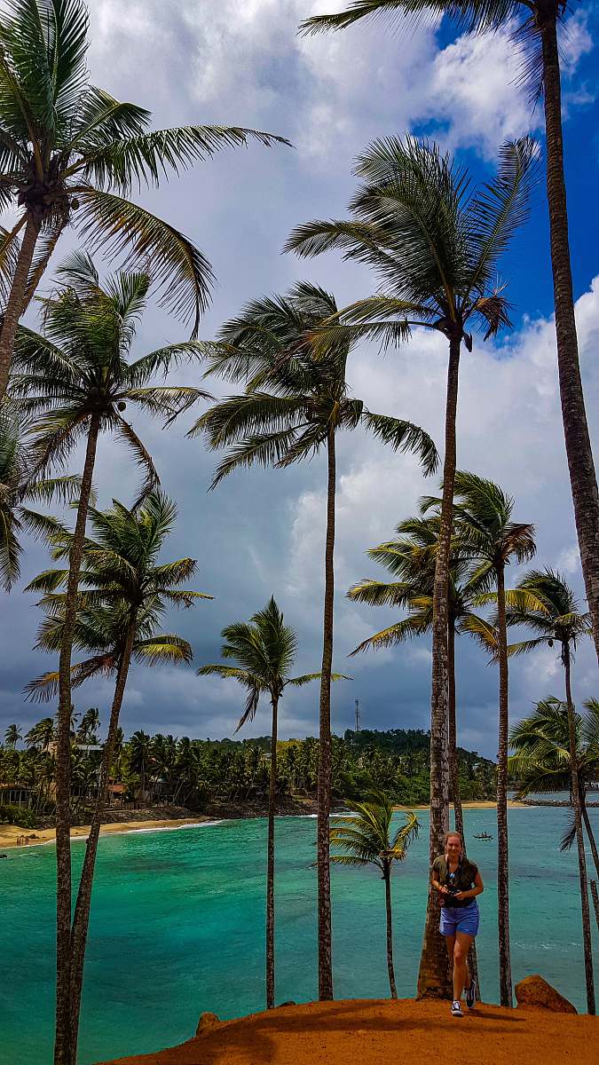 person woman standing beside green palm trees near body of water summer