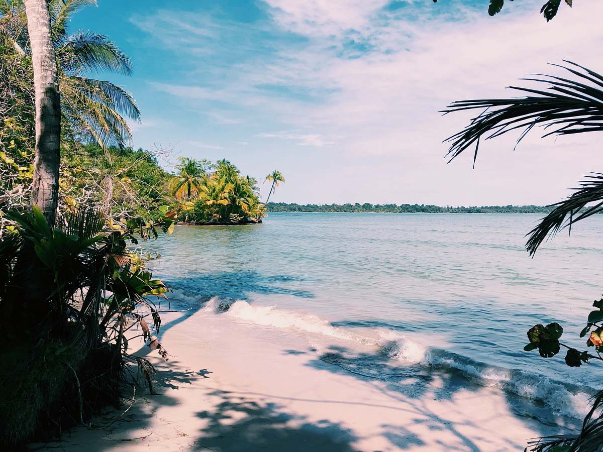 tropical calm sea and mountain view arecaceae