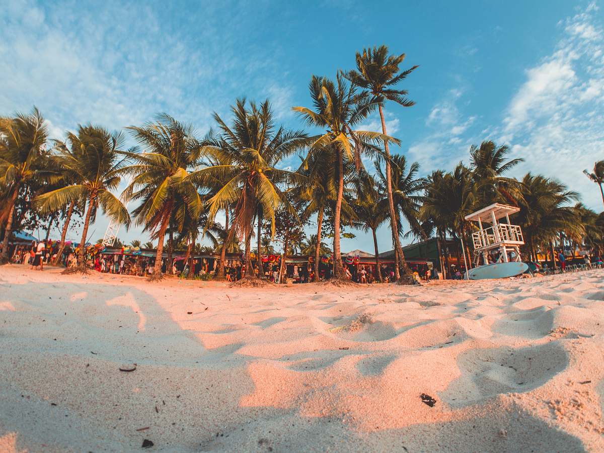 tropical green coconut trees under by cirrus clouds boracay