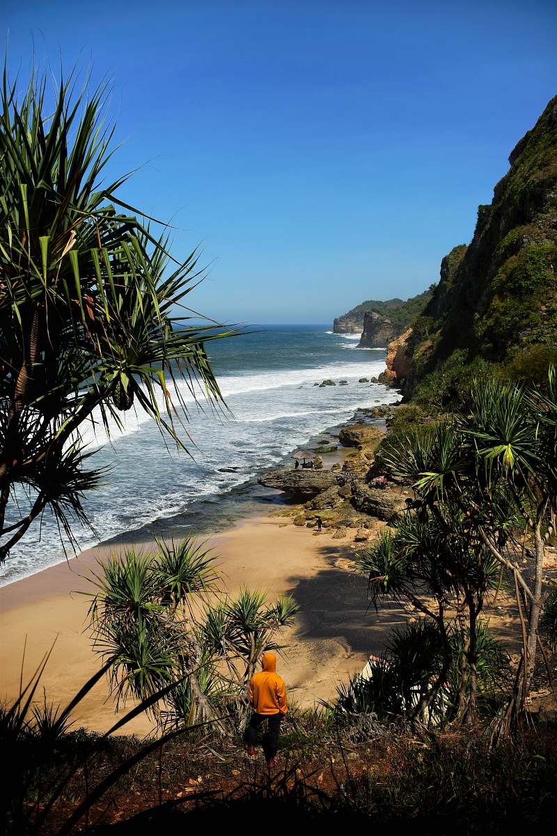 plant person standing near seashore human