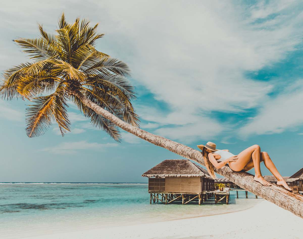 human woman lying on coconut tree trunk at beach person