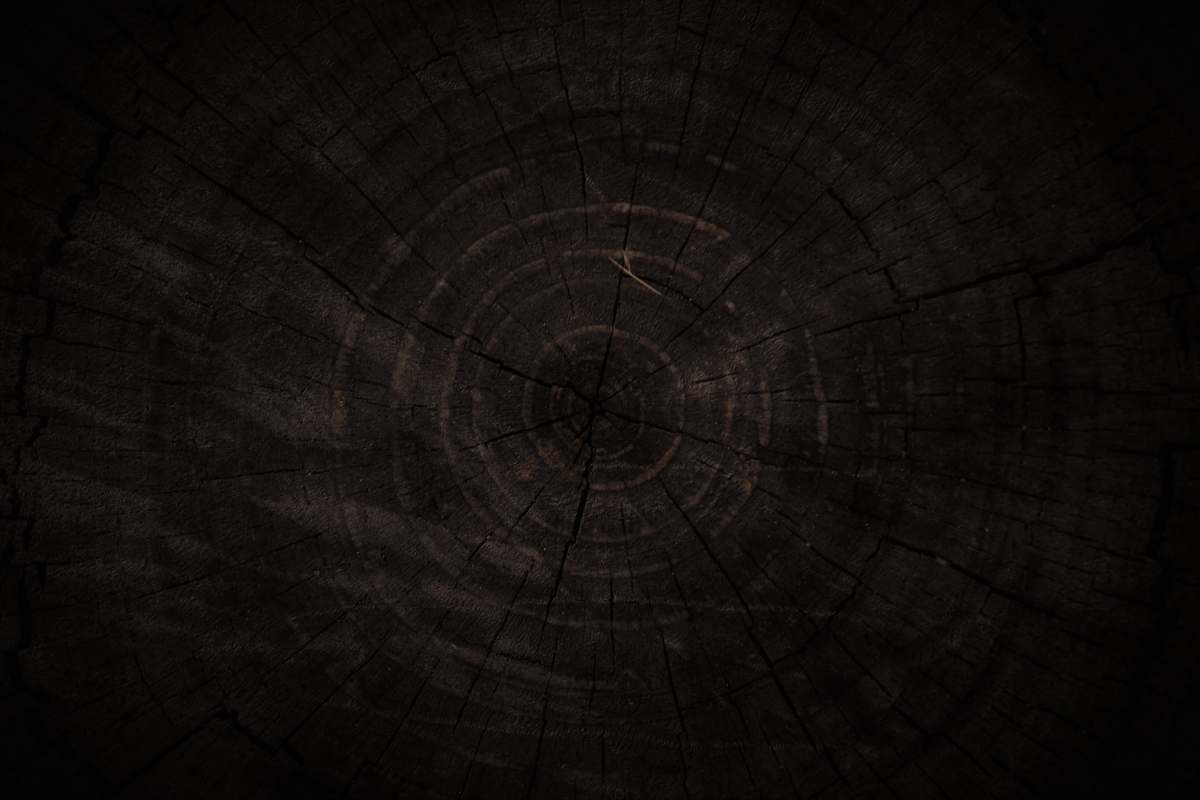 wood  texture