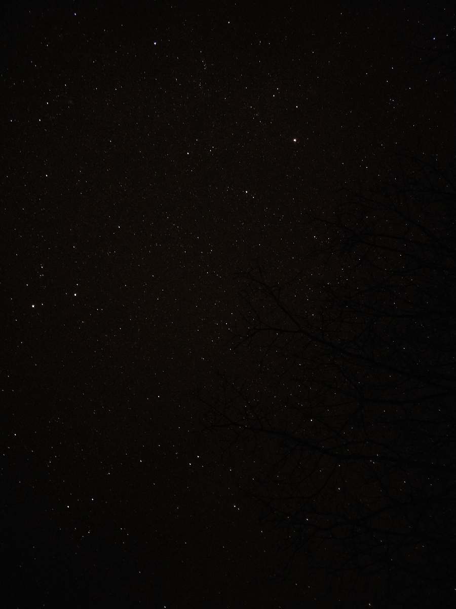 black view of starry night nature