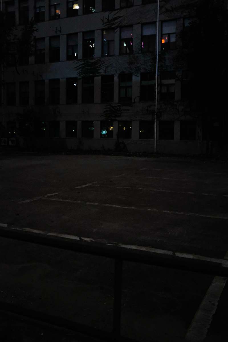 automobile building and trees during nighttime car