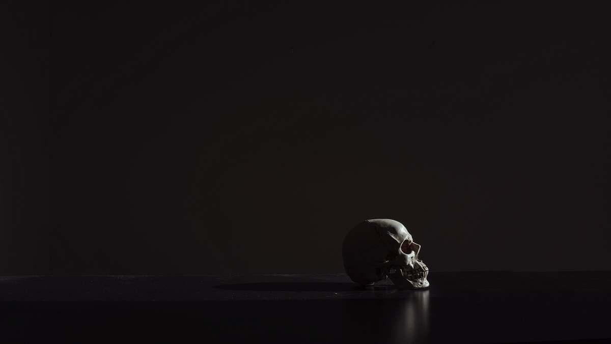 skull human skull on black background dark