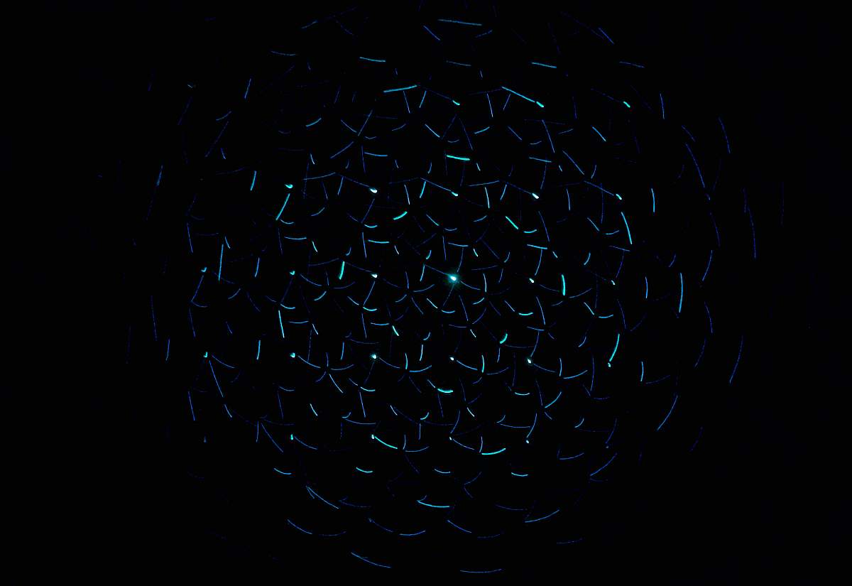abstract light decorations in dark area light