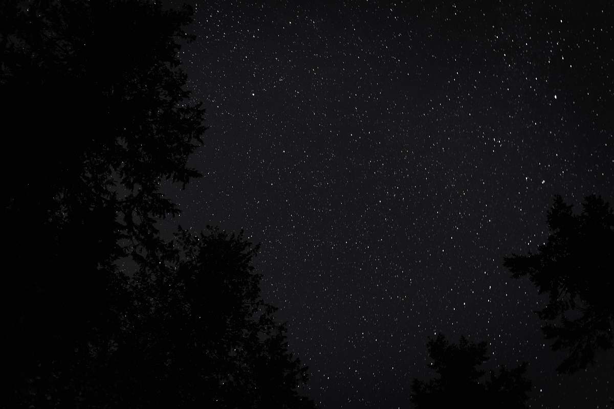 nature low angle photography of starry night black-and-white