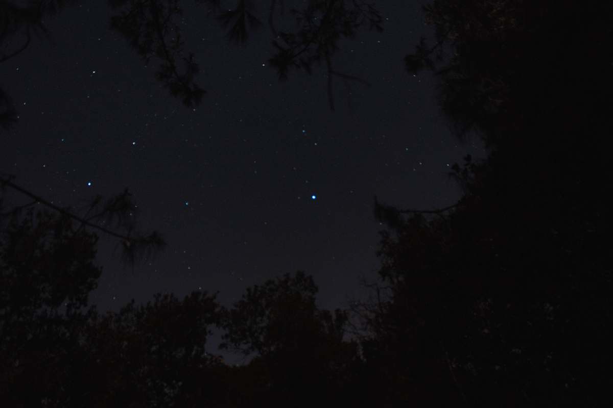 astronomy low angle photography of stars in sky night
