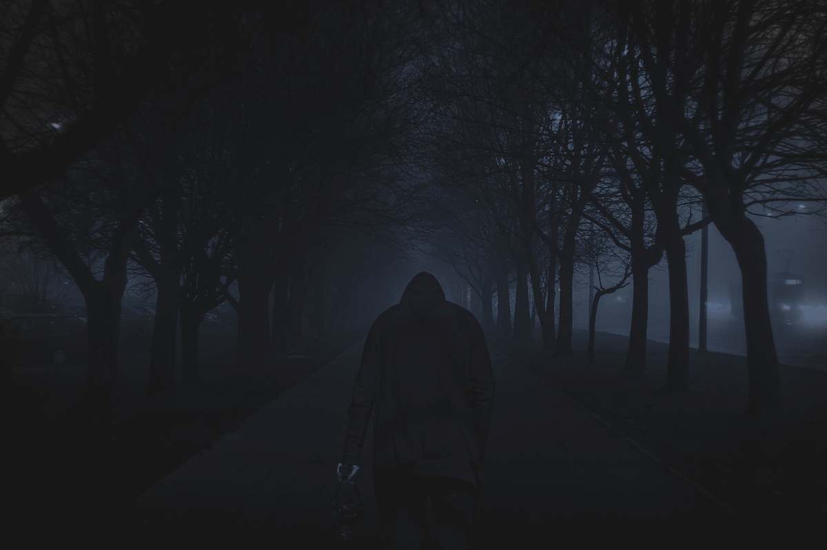 albania person walking between trees trees