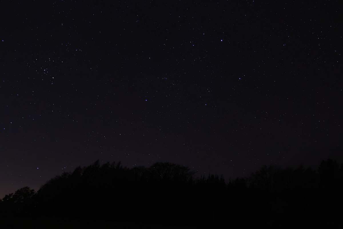 nature silhouette of trees at nighttime astronomy