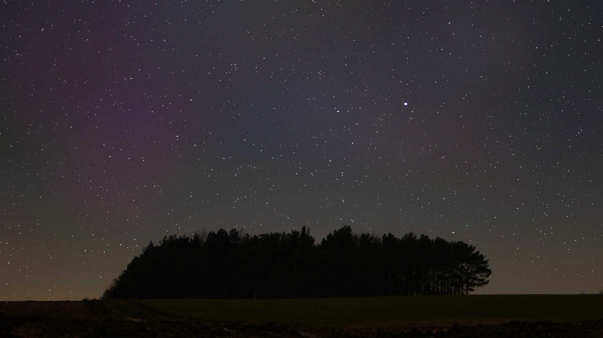 nature silhouette photography of trees at night time outdoors