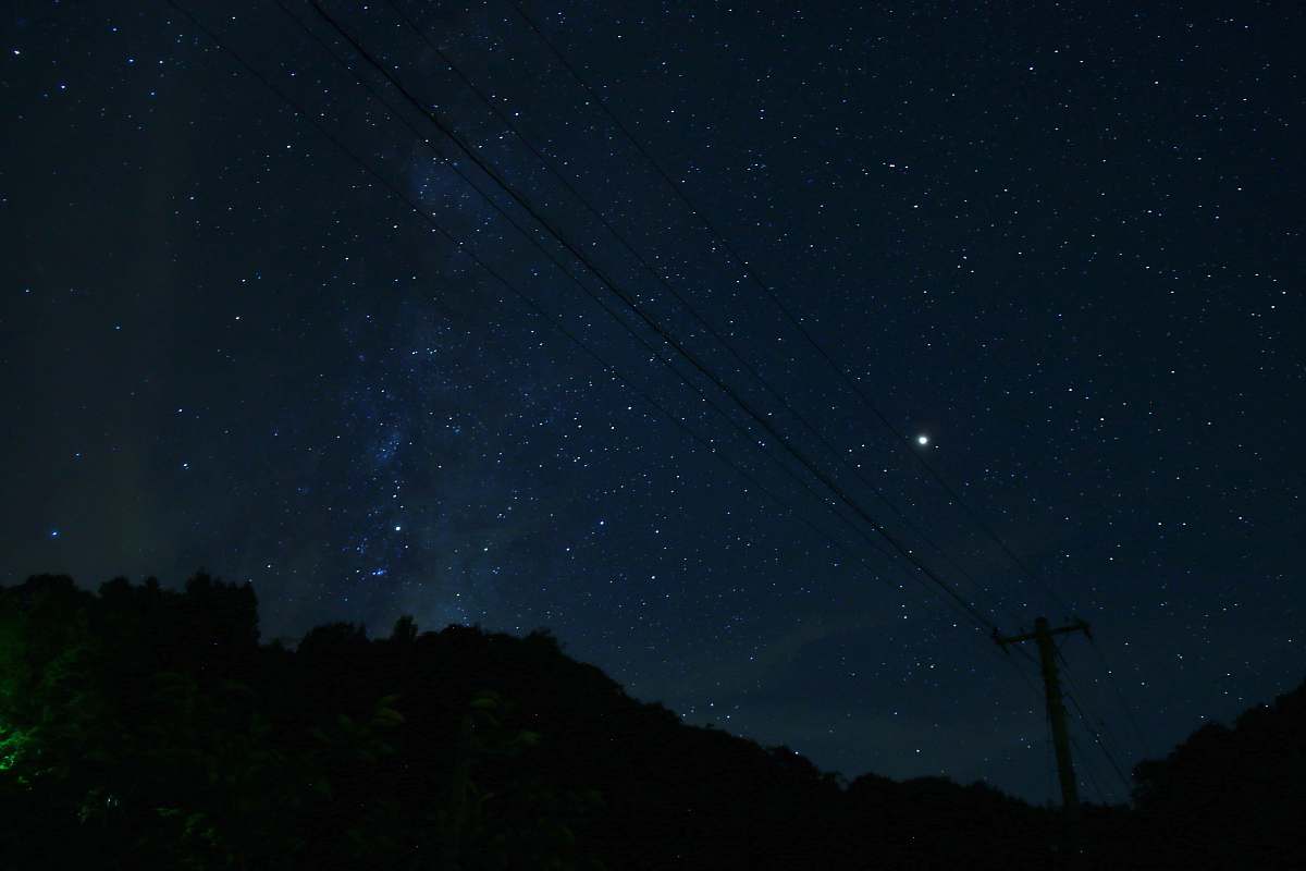 nature tree near hill at night outdoors