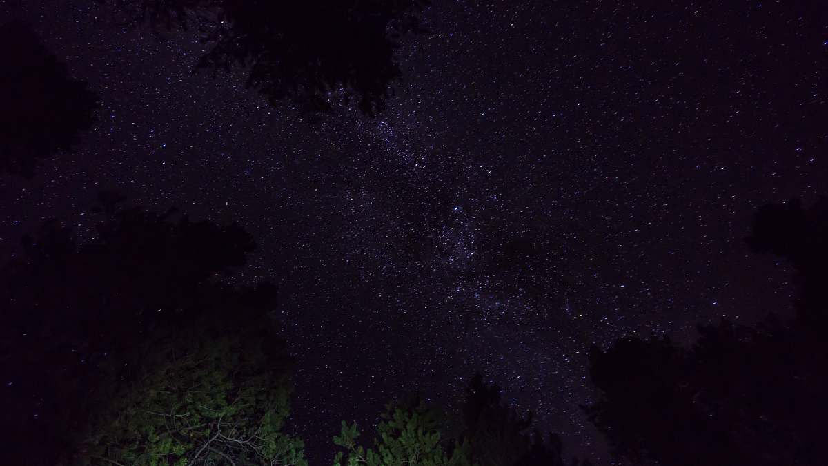 winfield trees under stars united states