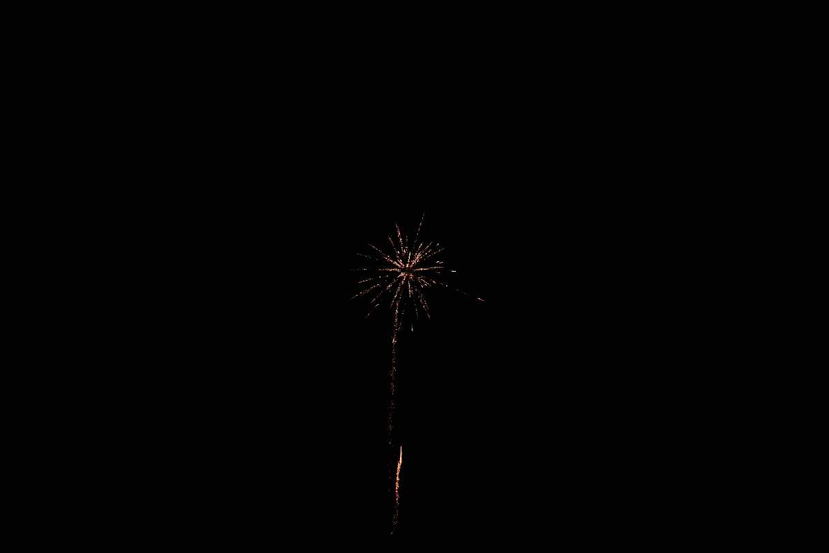 nature white fireworks outdoors