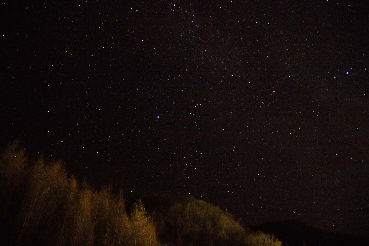 nature worms-eye view of night stars outdoors