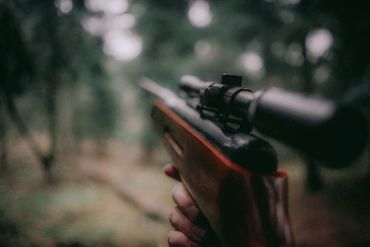 poland selective focus photography of brown hunting rifle weapon