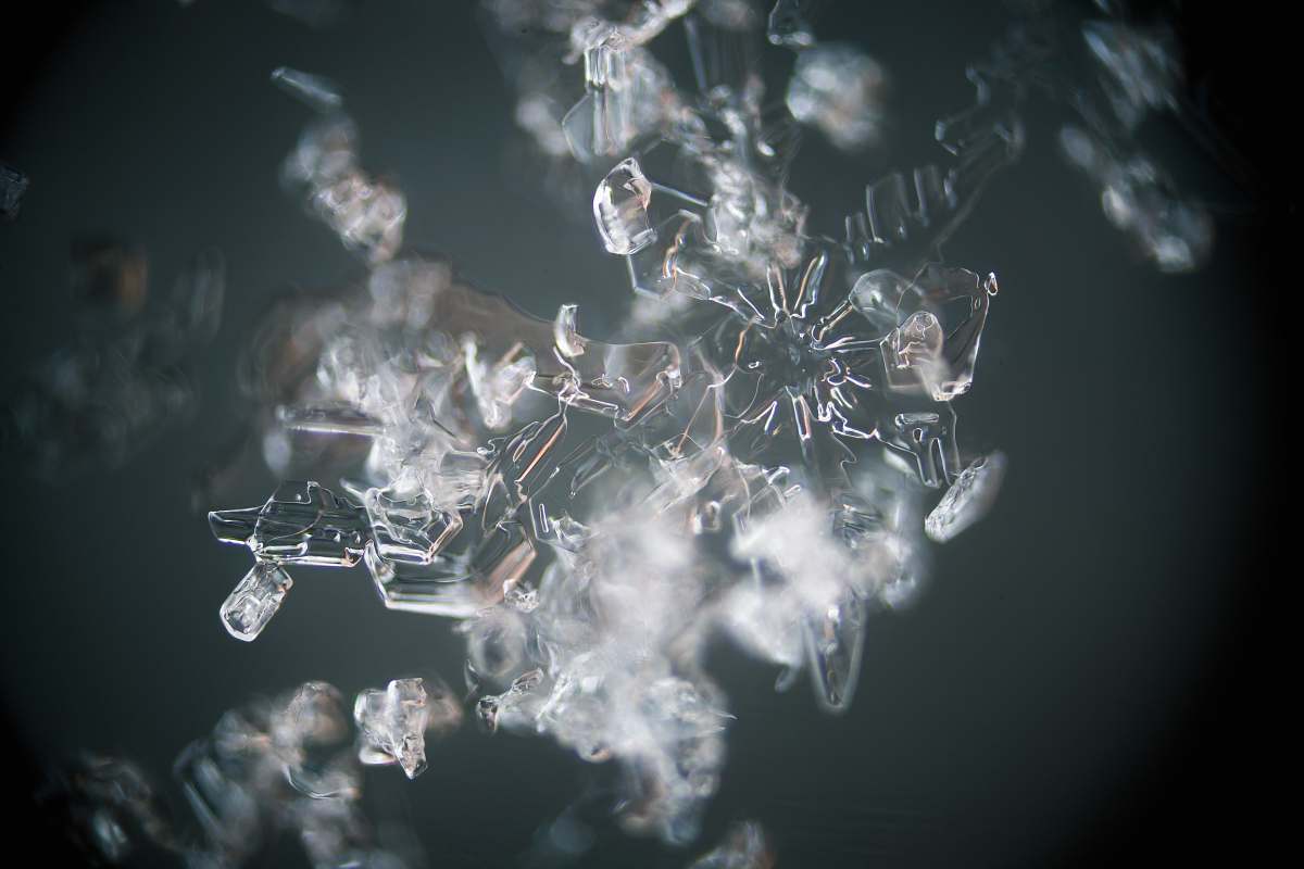 snowflake close-up photo of white frosted snow snow