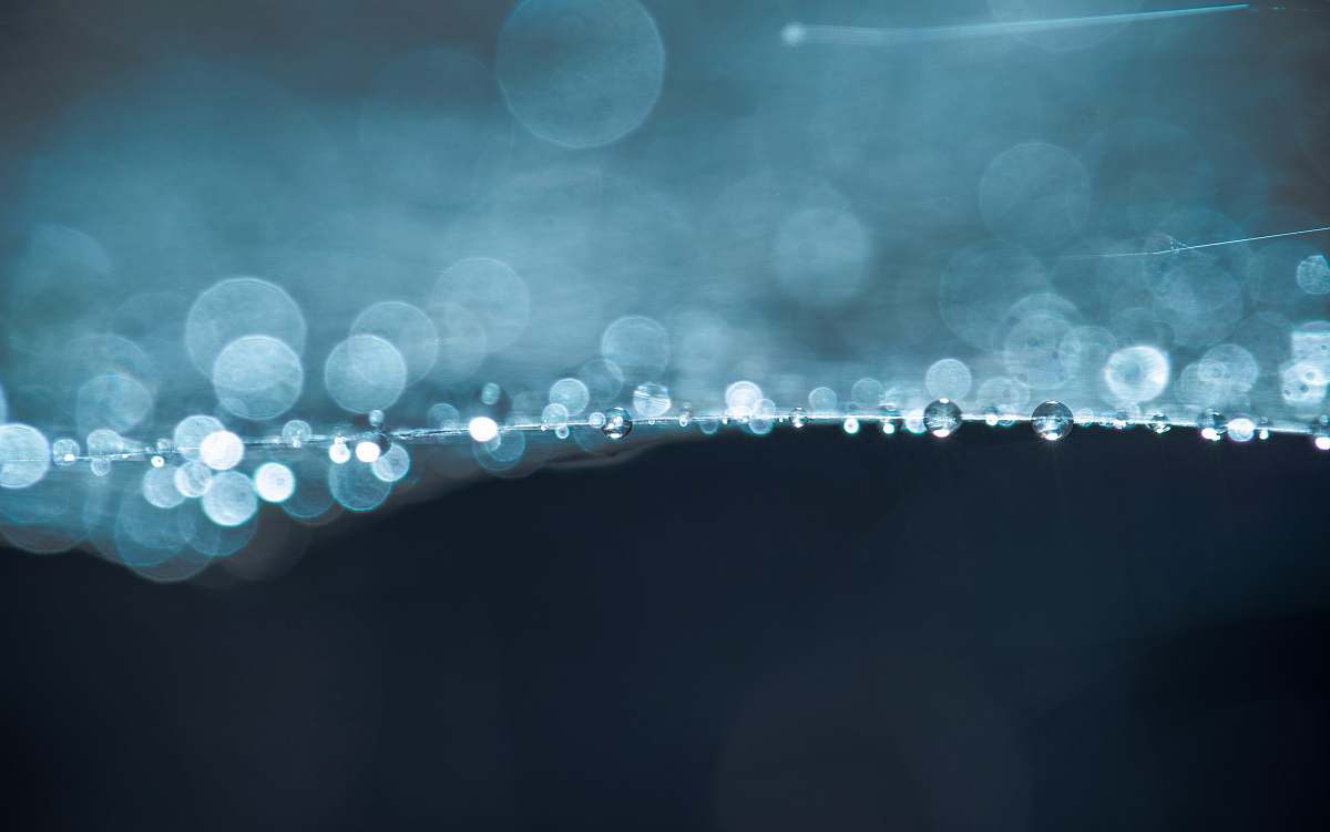 blue macro photography of water drops united kingdom