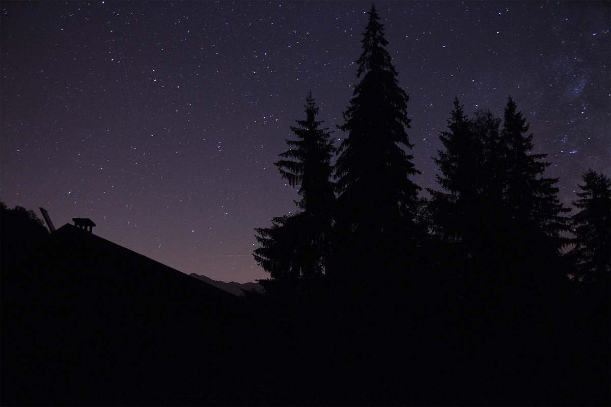 universe silhouette of trees during nighttime trees