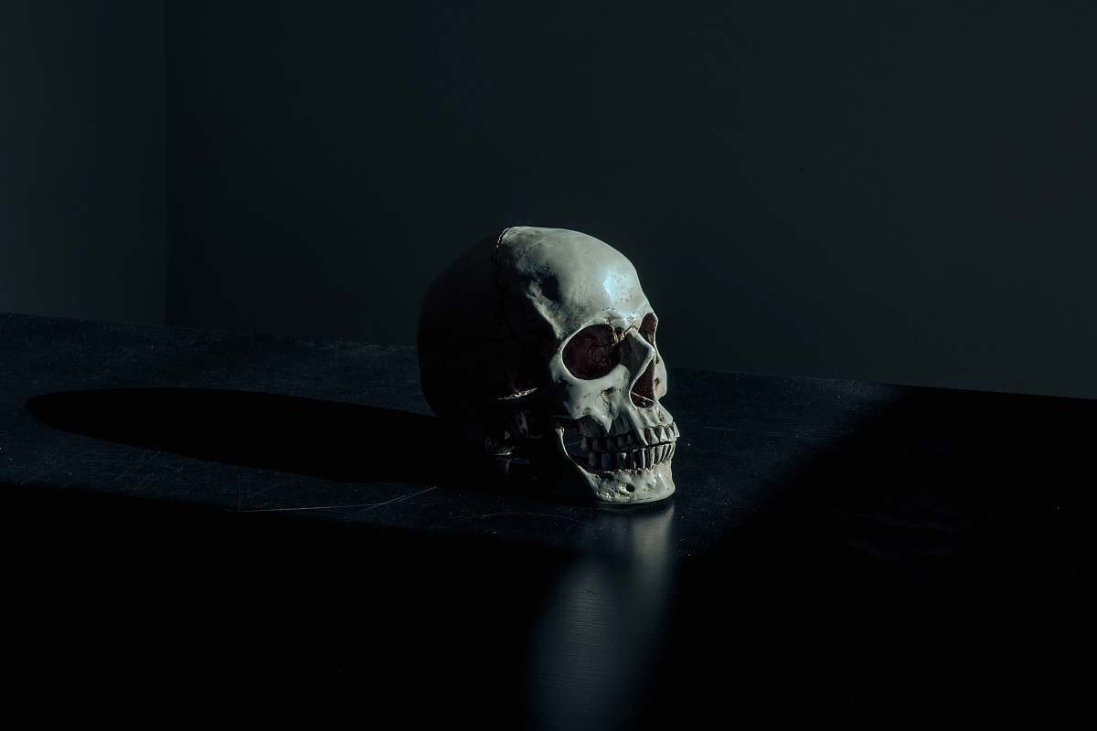dark white and black skull figurine on black surface death