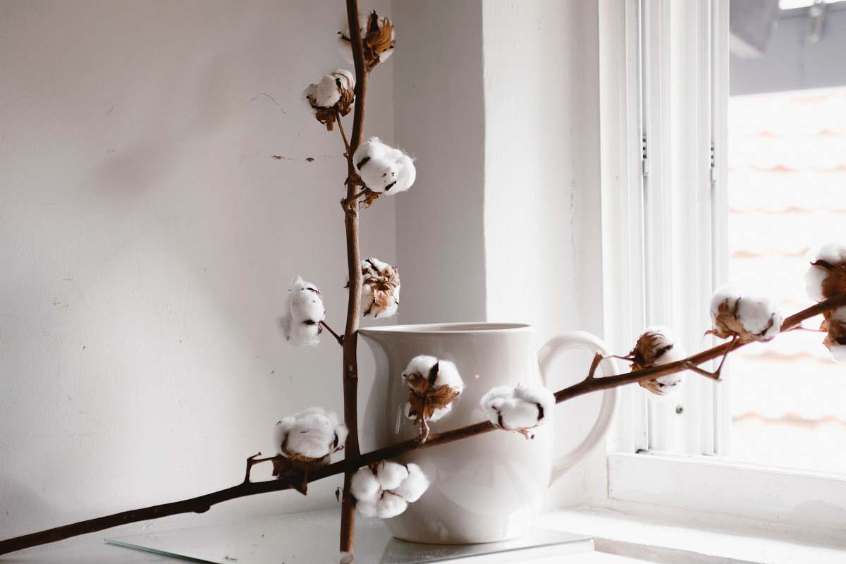 bird white flowering brown plant beside white ceramic teapot art