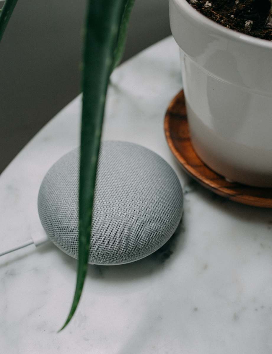 tub chalk Google Home Mini speaker near plant pot on white surface google