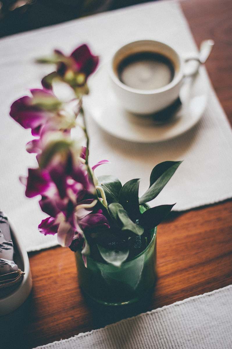 plant white ceramic mug on saucer flower