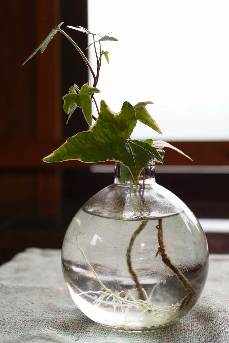 jar  pottery