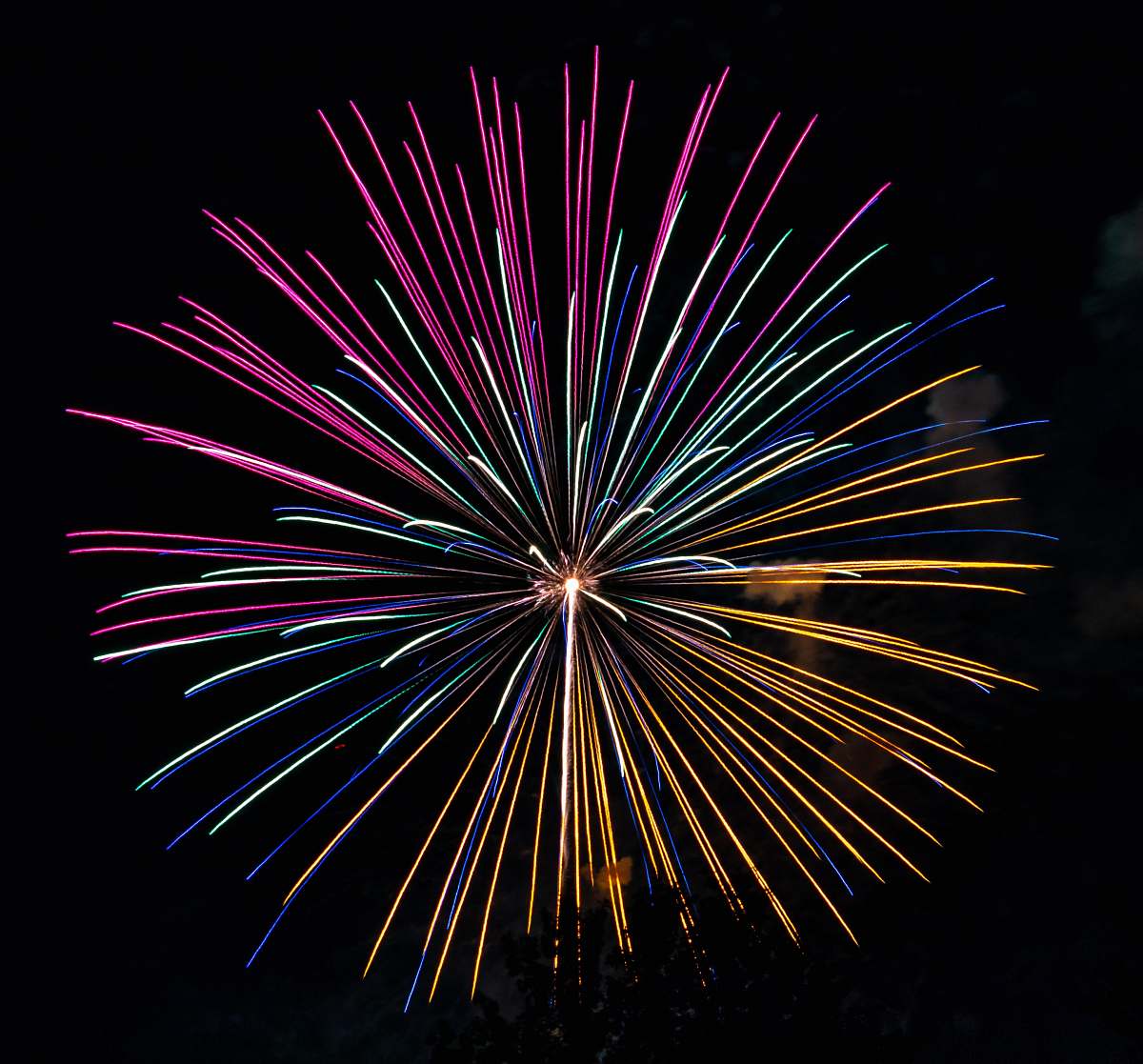 Outdoors Pink And Yellow Firework Fireworks Image Free Photo