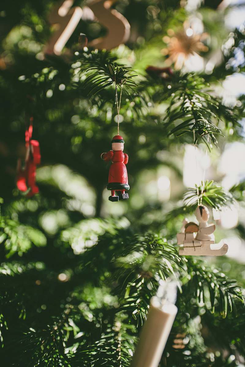 plant selective photo of Christmas tree hanging decors tree