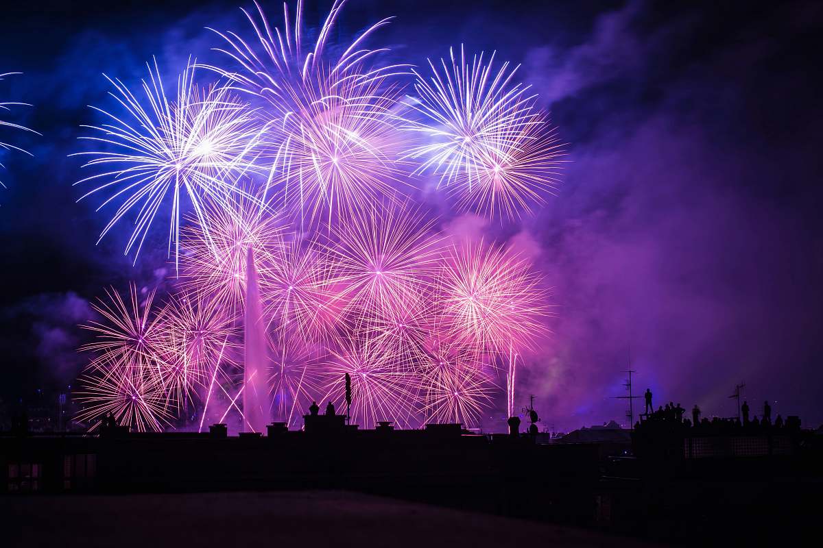 night silhouette of buildings with purple and pink fireworks display fireworks