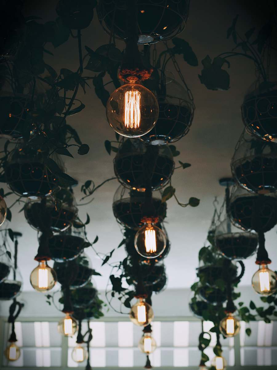 people clear glass lamps plant