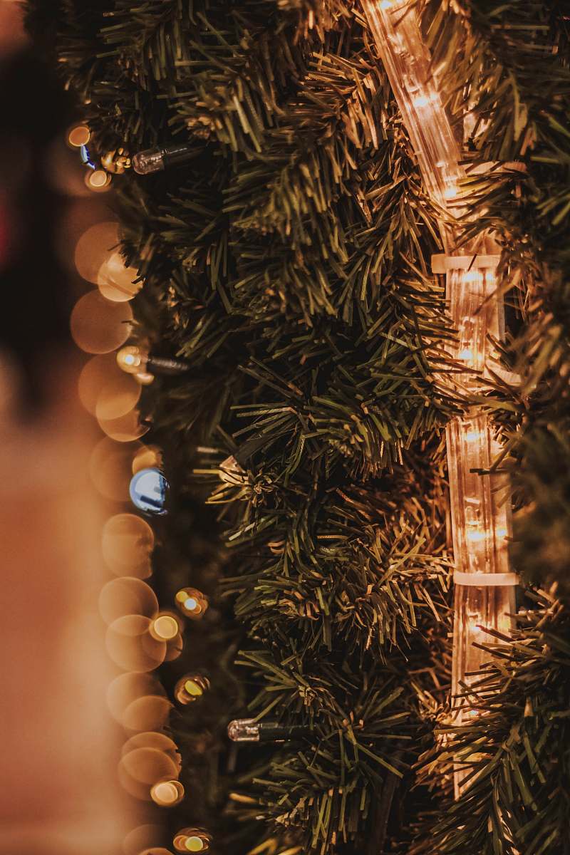 ornament turned-on LED strip on green-leafed plant tree