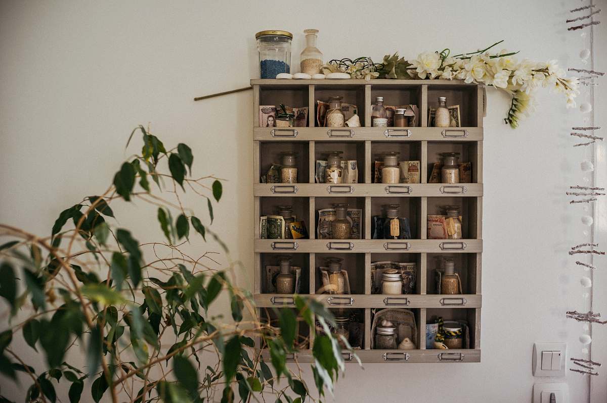 narbonne weeping fig plant beside shelf france