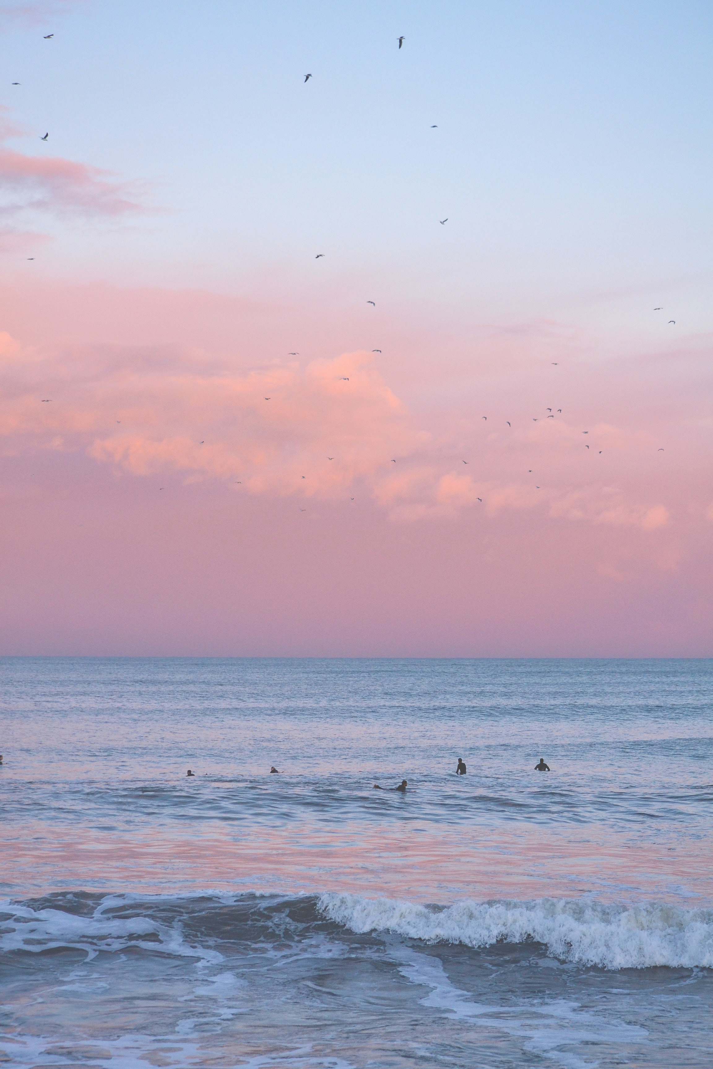 Ocean People Swimming At The Beach Sea Image Free Photo