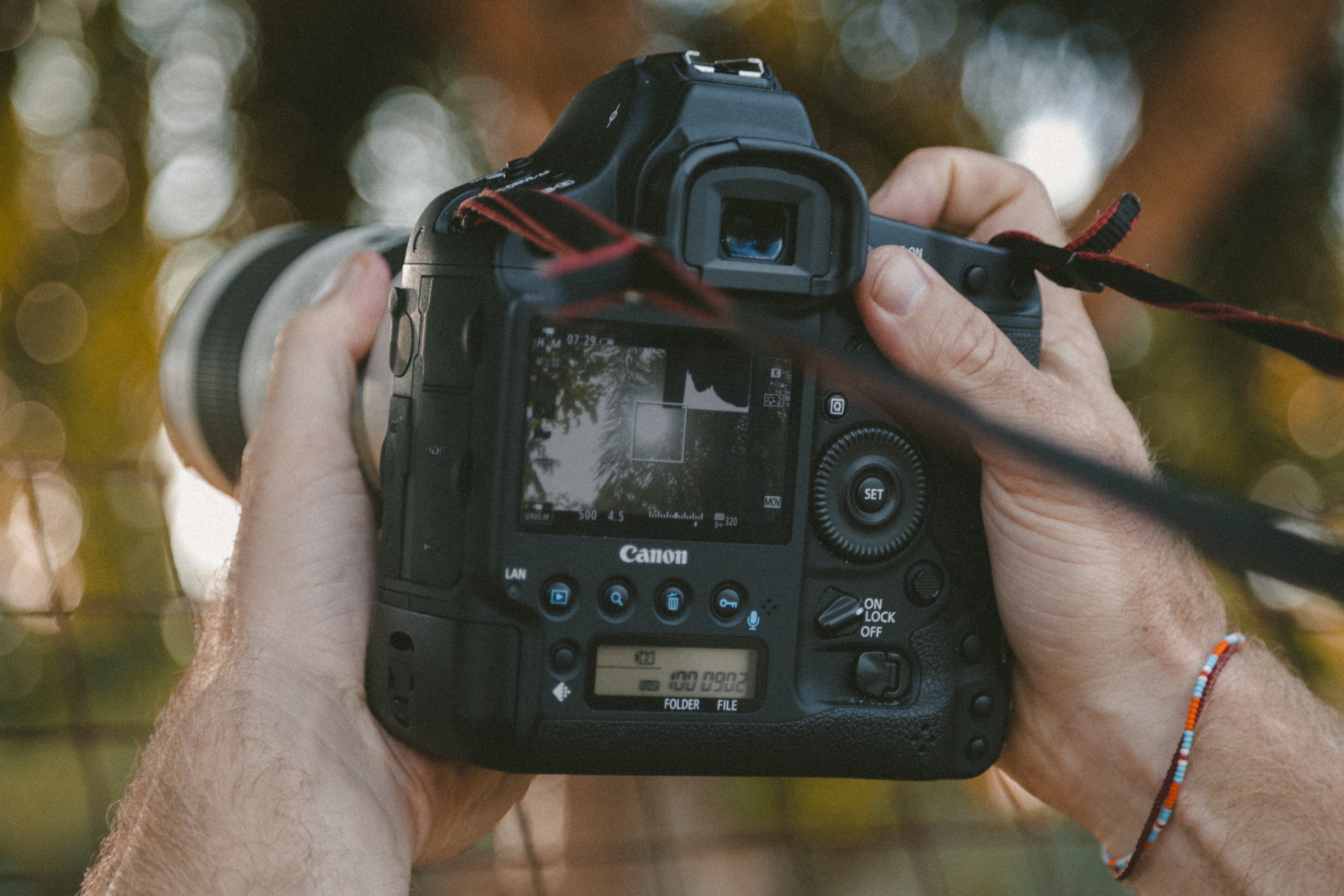 Person Holding DSLR Camera Image Free Photo