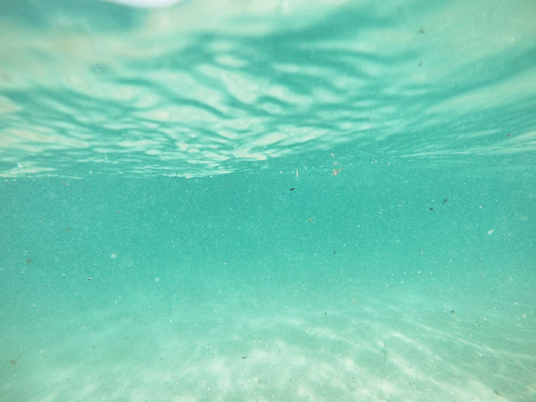 Teal Underwater Sea Image Free Photo