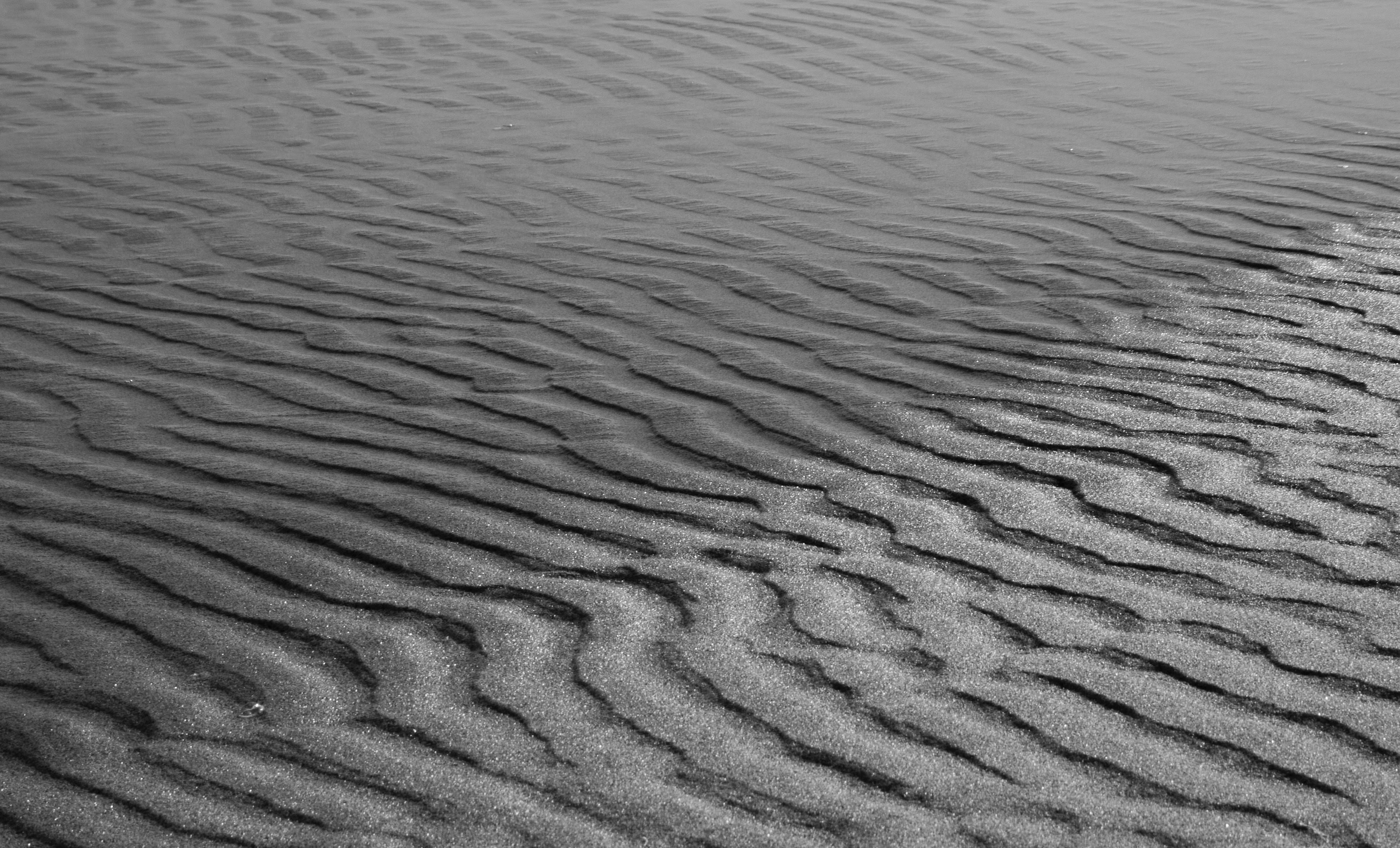 Sand Grayscale Photography Of Sand Black-and-white Image Free Photo