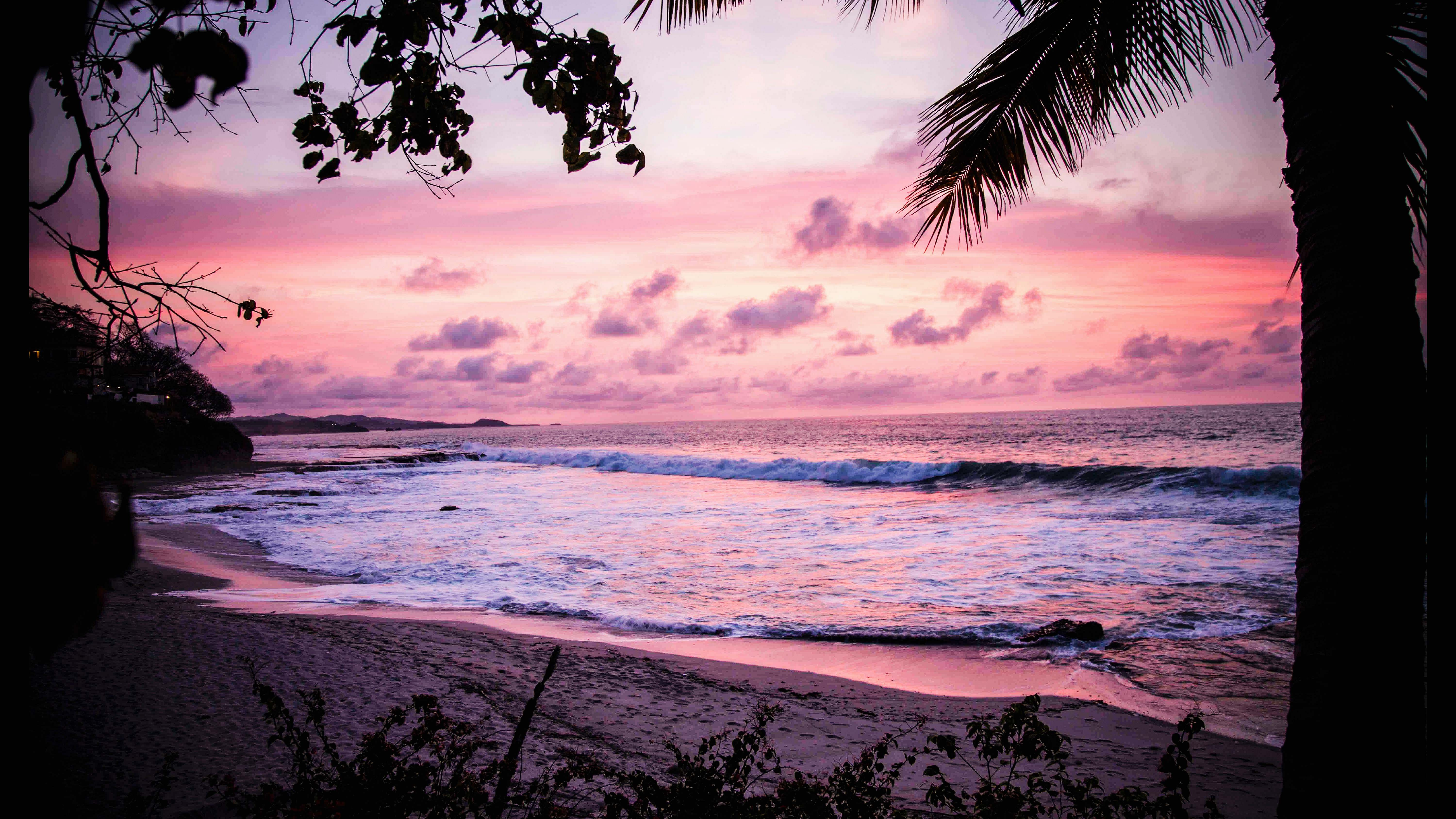 Pink Waves Crashing Through Shore Background Image Free Photo