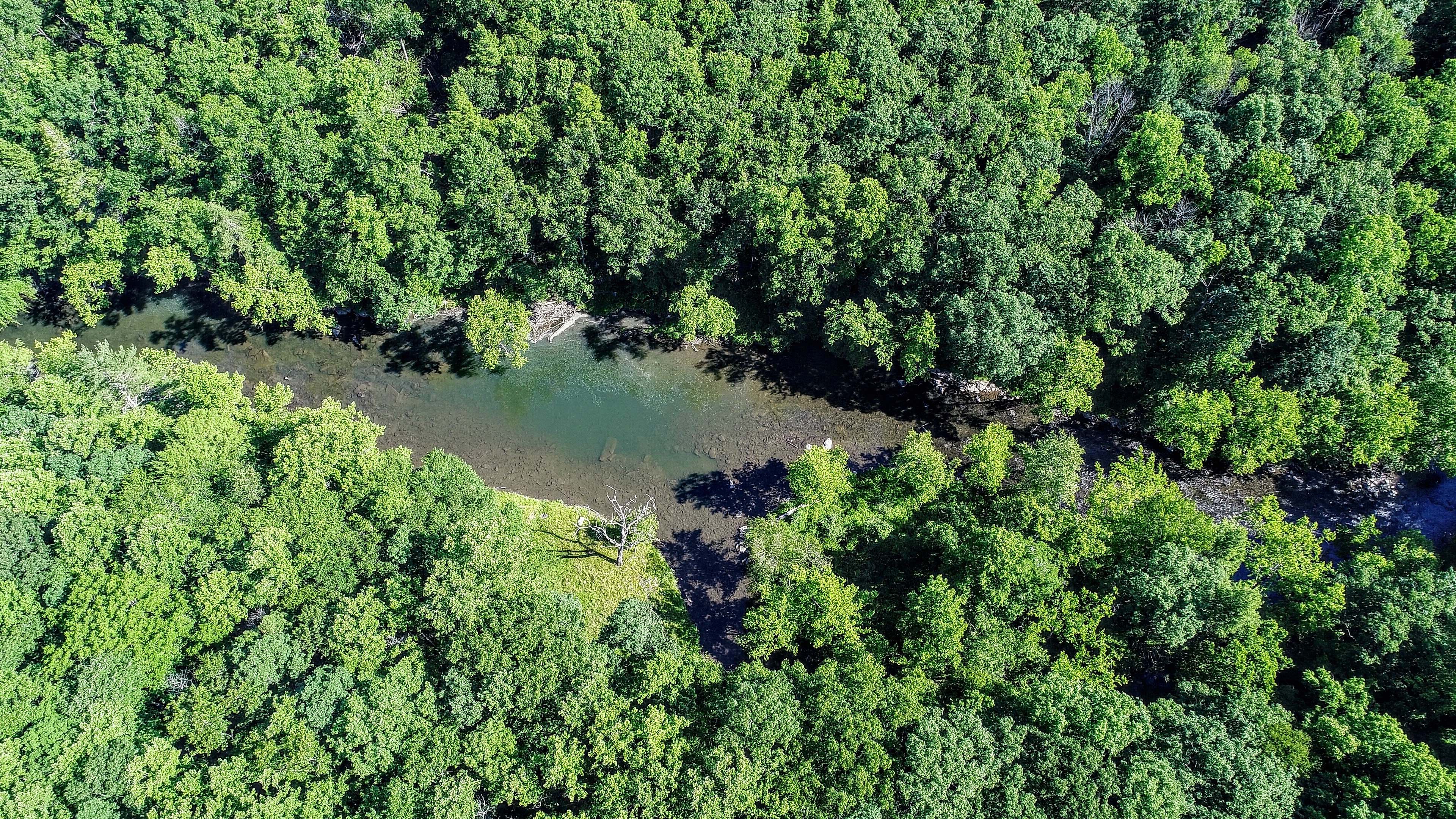 Plant Birds Eye View Photography Of Trees Vegetation Image Free Photo