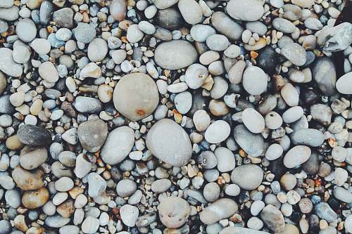 texture white and brown pebbles pebble