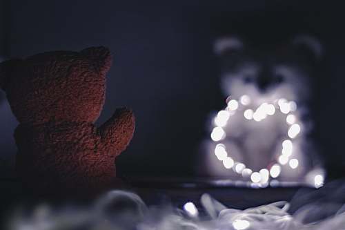bling brown teddy bear bokeh photography jewelry