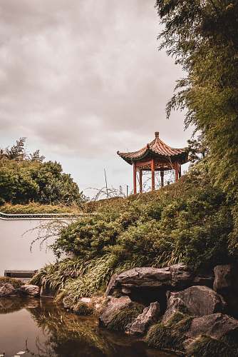 architecture brown pagoda near trees under white sky tree