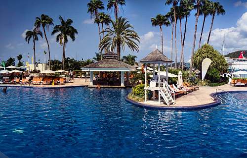 summer photo of gazebo and green palm trees scenry hotel
