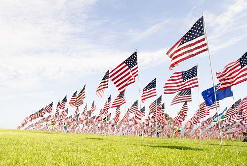 emblem U.S.A flags on green grass field during daytime united states