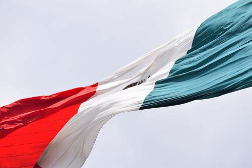symbol waving Mexico flag during daytime animal