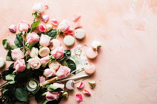food flat-lay photography of macaroons and pink rose flowers pink