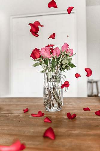 jar pink and red roses on clear glass vase vase