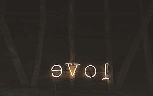 neon love neon signage sign