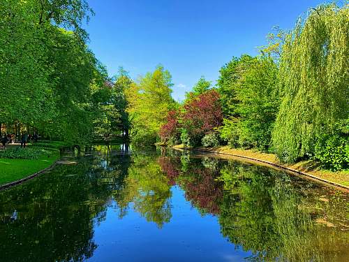 water green trees and lakes scenery outdoors